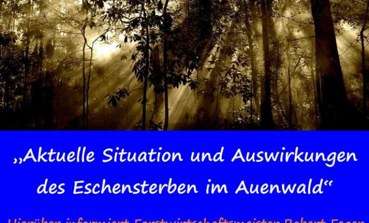 Unterwegs mit den Freien Wähler Hohberg – Waldbegehung